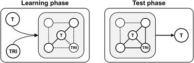 The Effects of Different Feedback Types on Learning With Mobile Quiz Apps